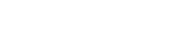 SecurePortIV logo White
